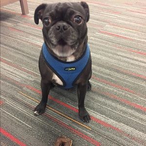 Meet your Posher, Bre